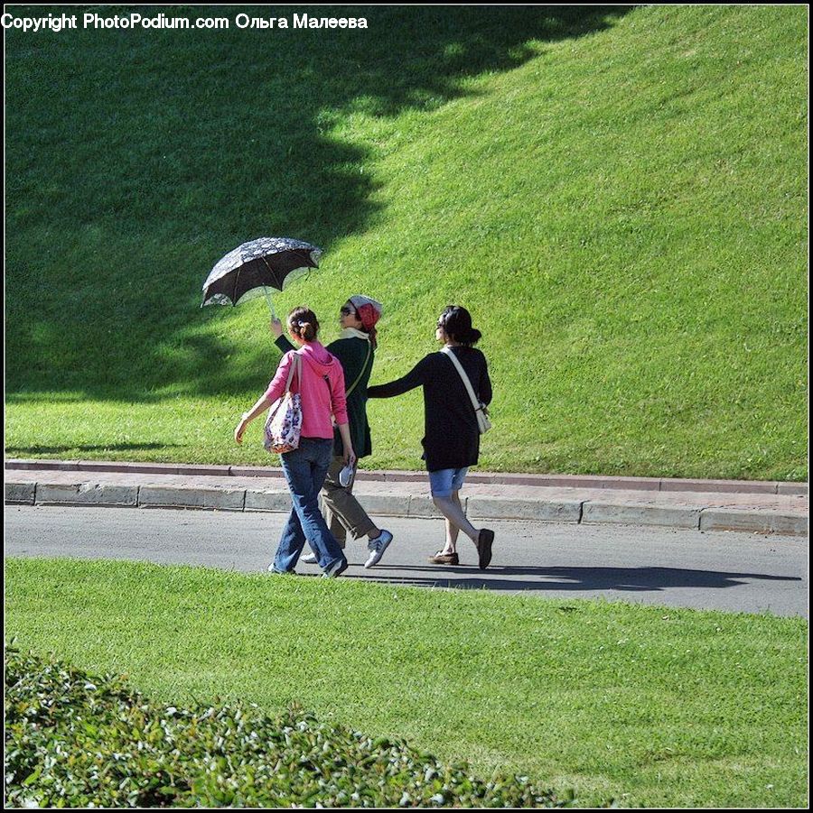 Human, People, Person, Umbrella, Leisure Activities, Walking, Outdoors