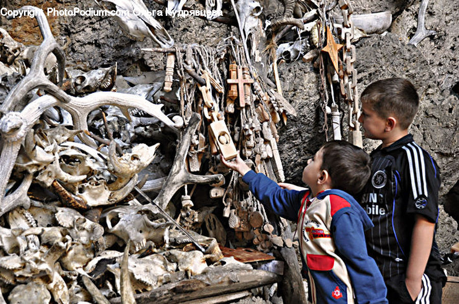 People, Person, Human, Antler, Rubble, Driftwood, Wood