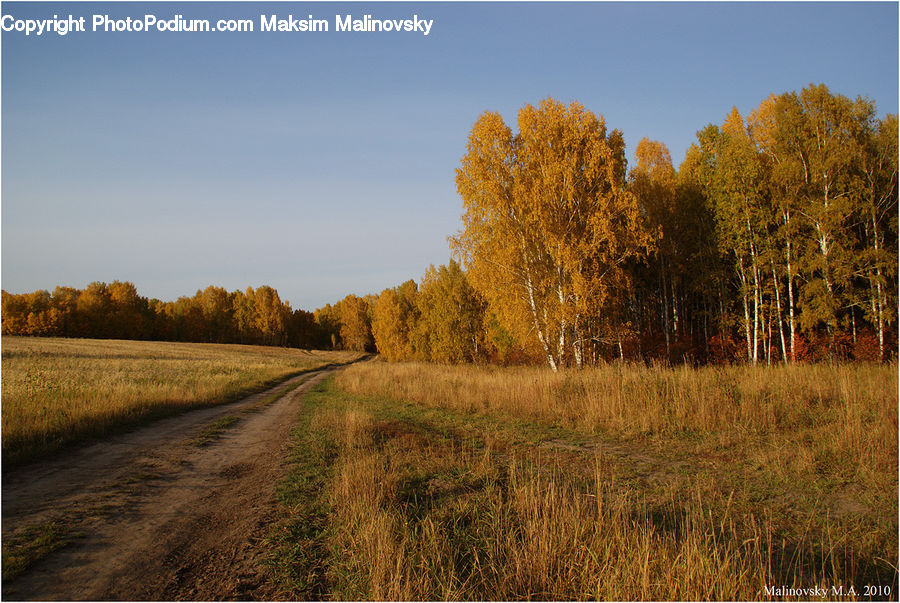 Dirt Road, Gravel, Road, Field, Grass, Grassland, Land