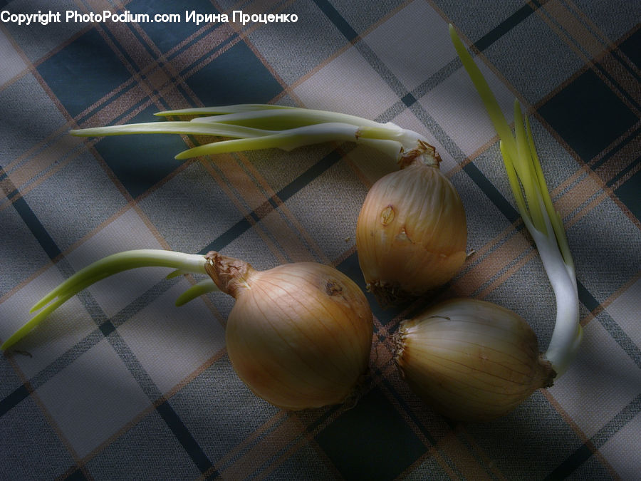 Garlic, Plant, Squash, Vegetable, Onion, Produce, Shallot
