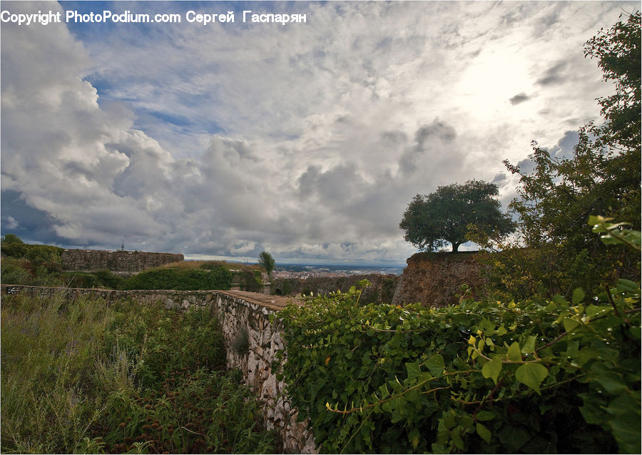 Countryside, Farm, Field, Vineyard, Castle, Fort, Landscape