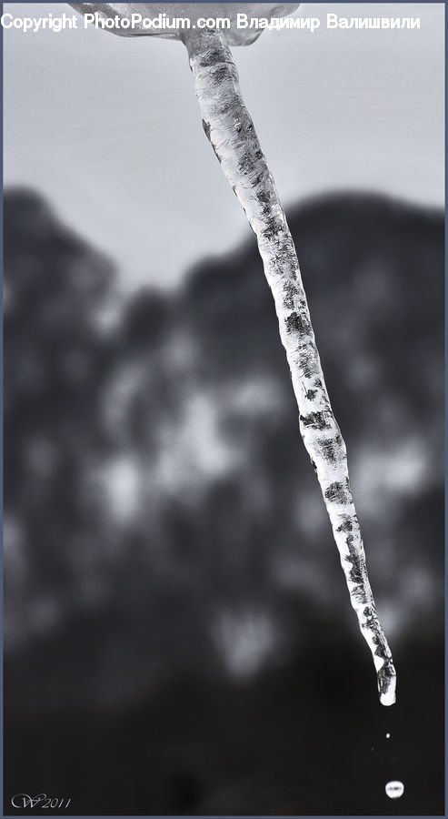 Ice, Icicle, Snow, Winter