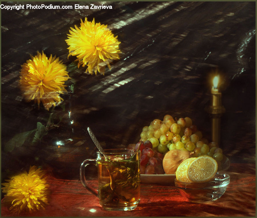 Glass, Goblet, Flower, Mimosa, Plant, Citrus Fruit, Fruit