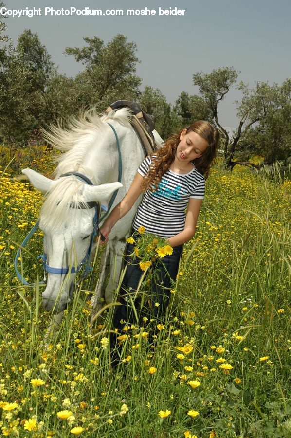 People, Person, Human, Animal, Horse, Mammal, Field