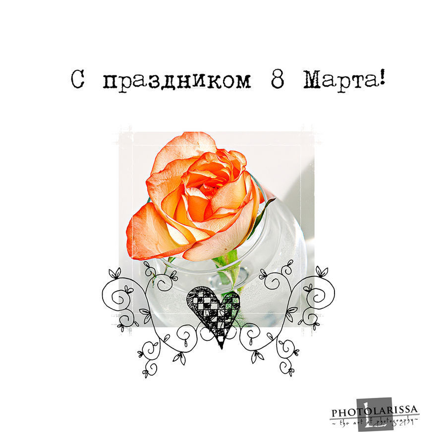 Blossom, Flower, Plant, Rose, Flower Arrangement, Flower Bouquet, Floral Design