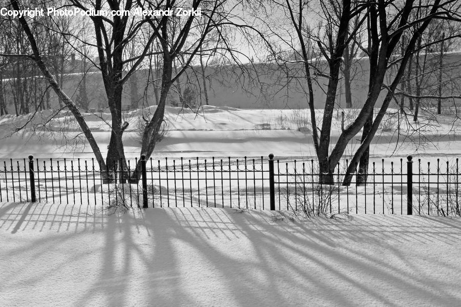 Fence, Ice, Outdoors, Snow, Plant, Tree