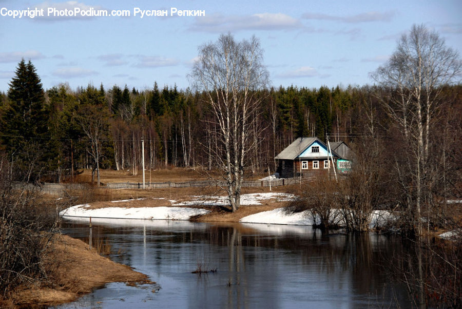 Building, Cabin, Shelter, Land, Marsh, Outdoors, Swamp