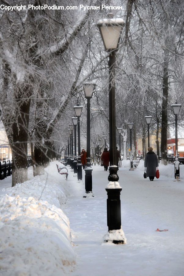 Ice, Outdoors, Snow