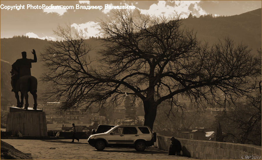 Car, Suv, Vehicle, Automobile, Plant, Tree, Jeep