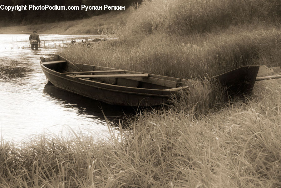 Boat, Rowboat, Vessel, Dinghy, Canoe, Field, Grass