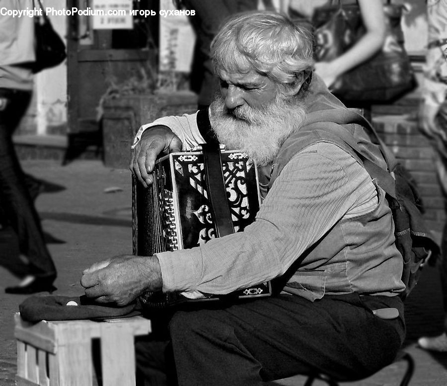 People, Person, Human, Performer, Bench, Accordion, Musical Instrument