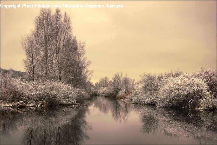 Frost, Ice, Outdoors, Snow, Dawn, Dusk, Sky