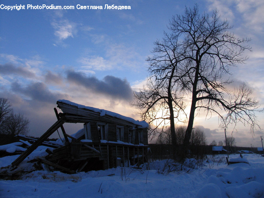 Cabin, Hut, Rural, Shack, Shelter, Gazebo, Building