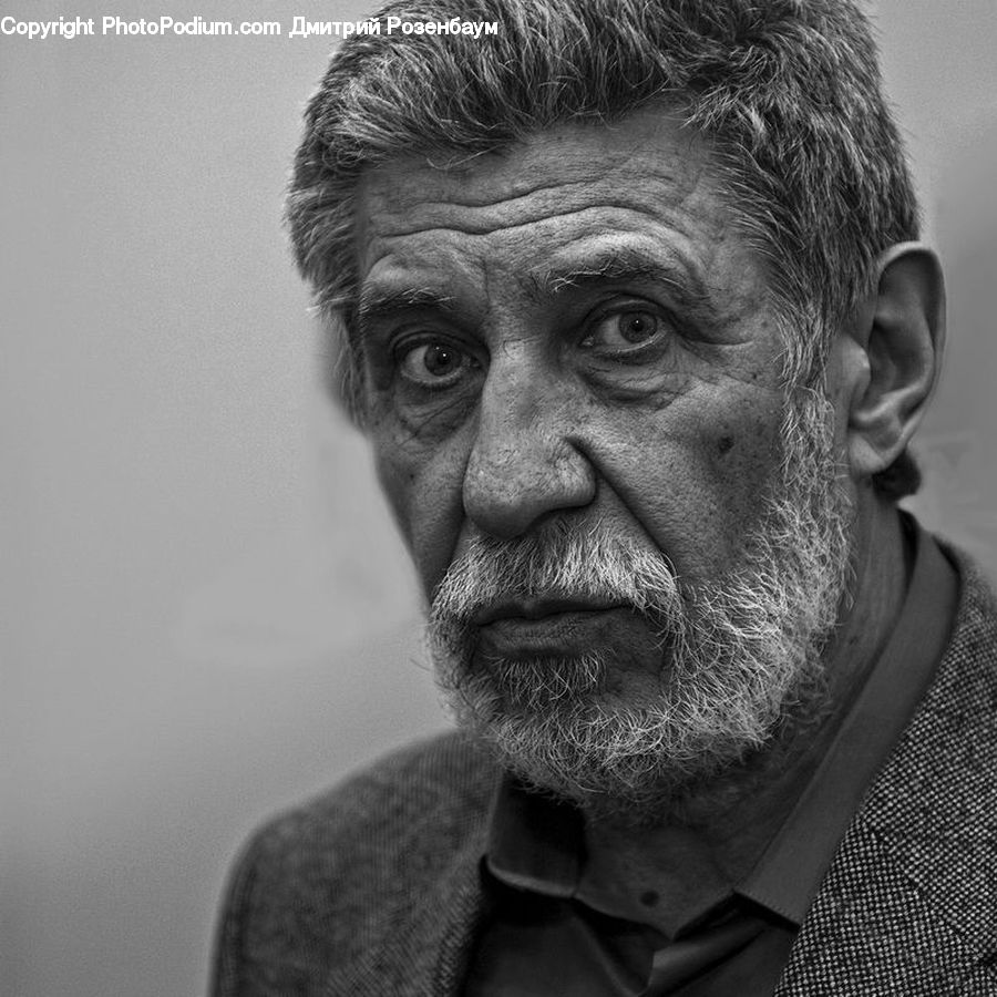 People, Person, Human, Portrait, Face, Head