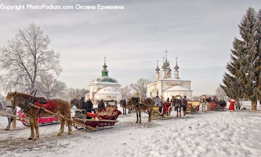 Animal, Horse, Mammal, Playground, Architecture, Dome, Spire