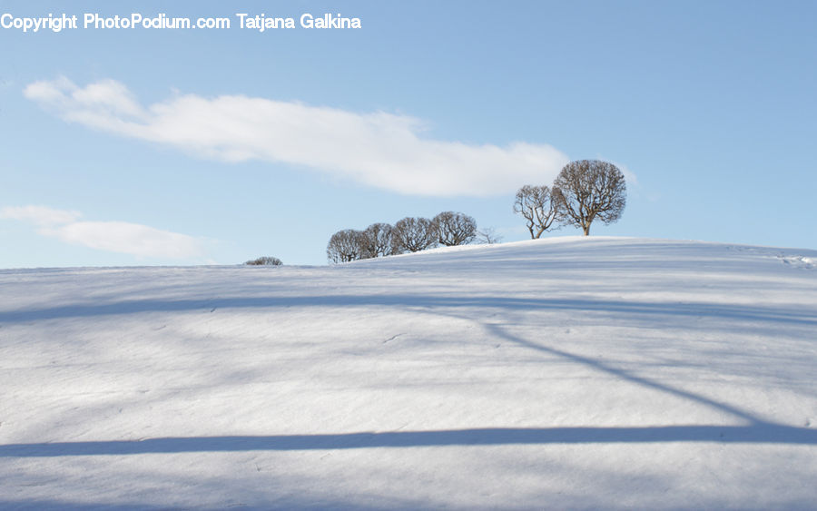 Plant, Tree, Landscape, Nature, Scenery, Ice, Outdoors