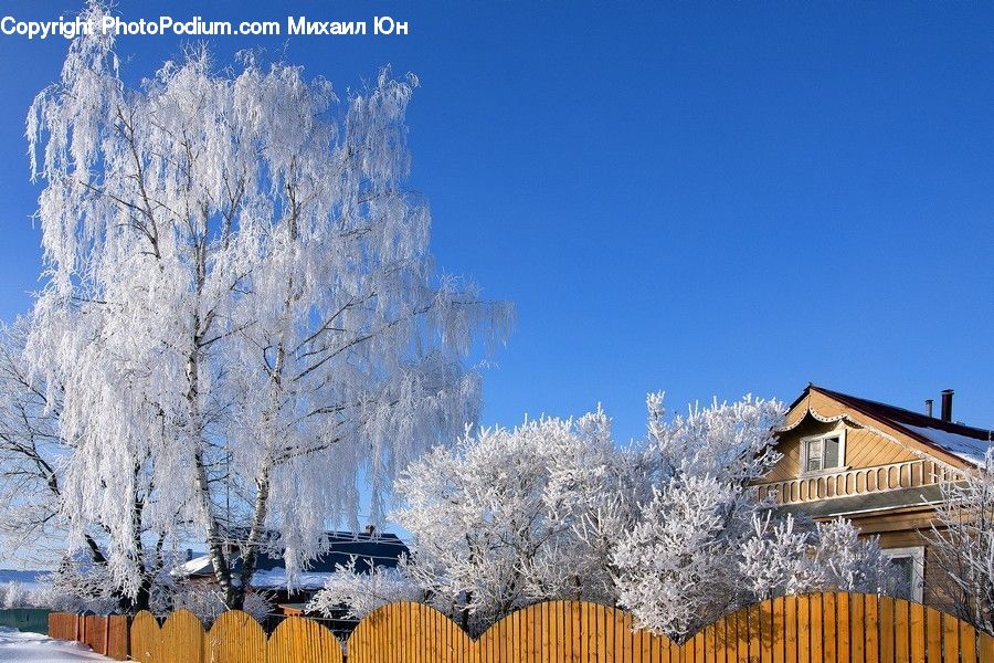 Frost, Ice, Outdoors, Snow, Downtown, Neighborhood, Town