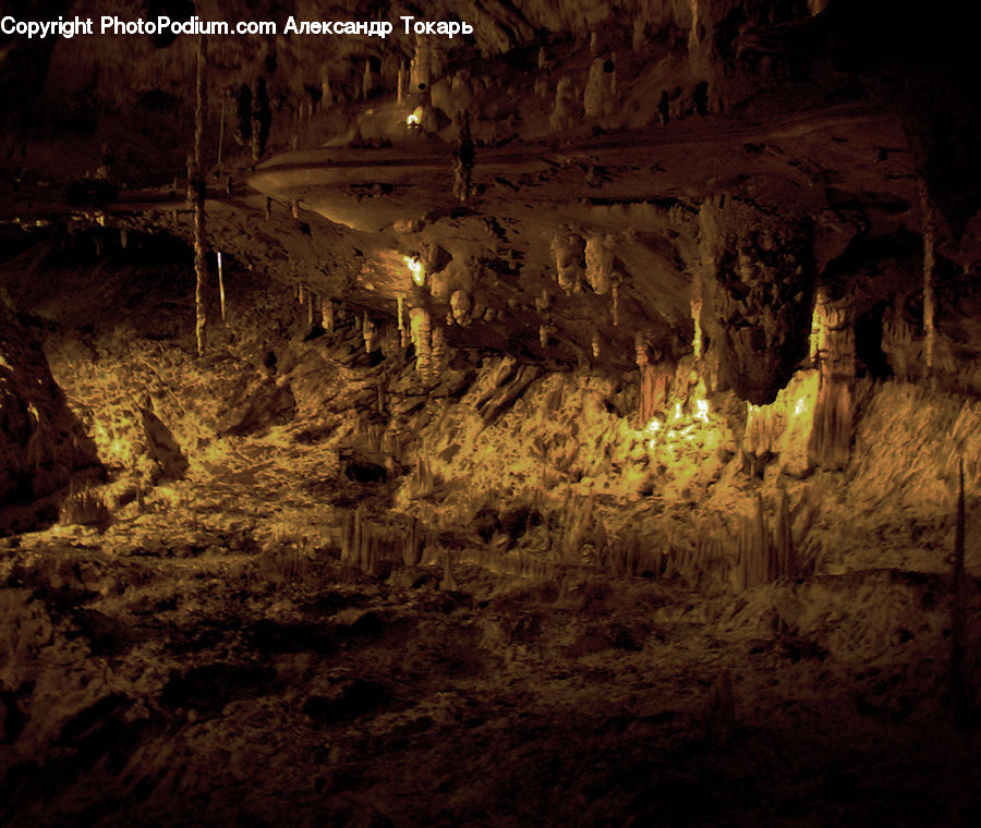 Cave, Crypt, Forest, Vegetation, Outdoors