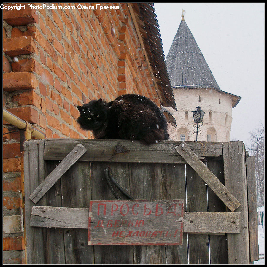 Architecture, Bell Tower, Clock Tower, Tower, Brick, Animal, Black Cat