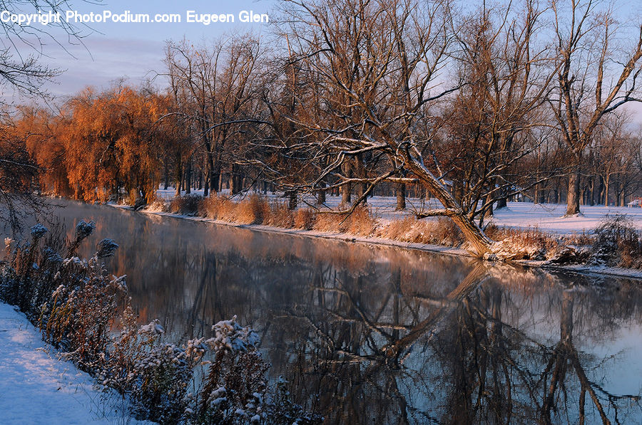 Frost, Ice, Outdoors, Snow, Landscape, Nature, Scenery
