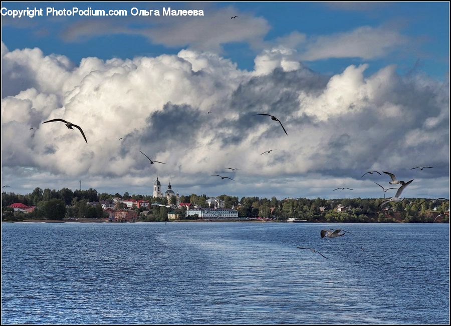 Cloud, Cumulus, Sky, Azure Sky, Outdoors, Harbor, Port