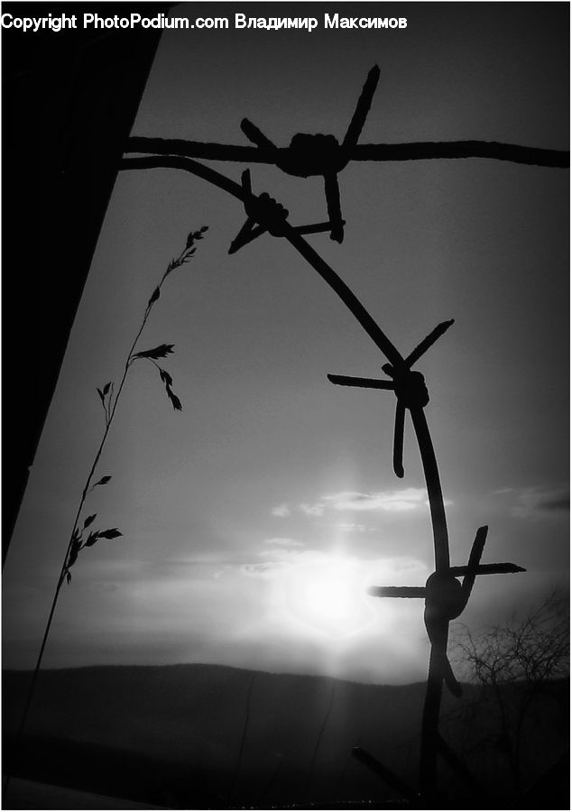Propeller, Wire, Silhouette, Plant