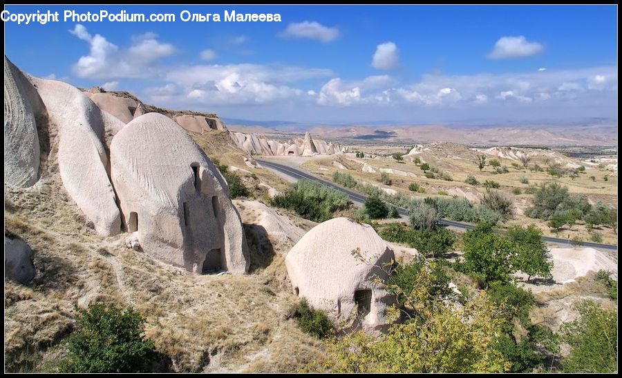 Animal, Elephant, Mammal, Bunker, Goat, Mountain Goat, Plant