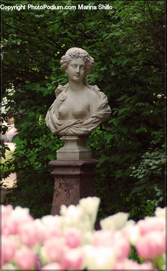 Plant, Potted Plant, Art, Sculpture, Statue, Ivy, Vine