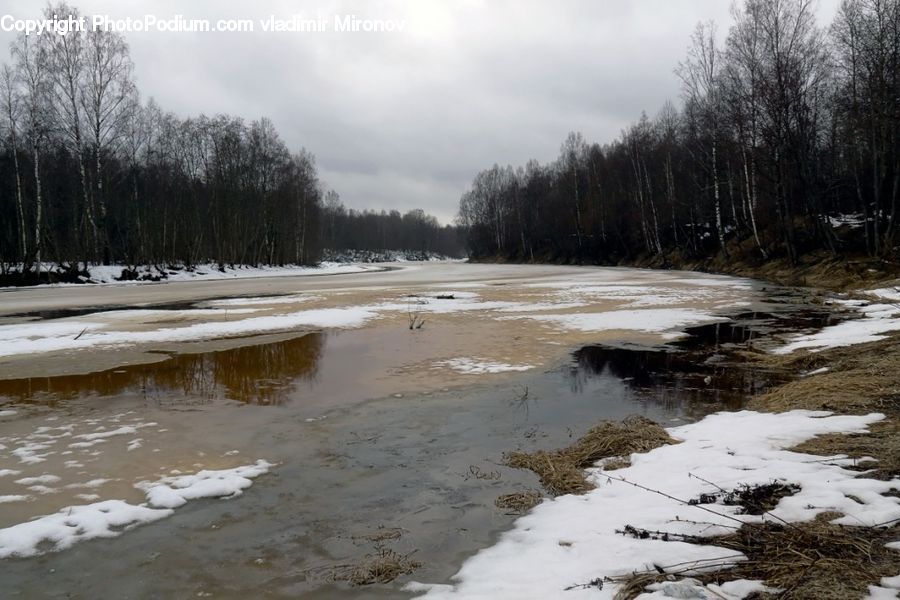 Creek, Outdoors, River, Water, Ice, Snow, Forest