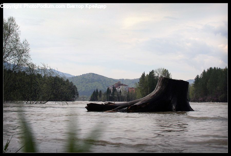 Boat, Watercraft, Outdoors, River, Water, Fir, Forest