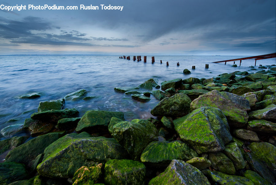 Coast, Outdoors, Sea, Water, Algae, Rock, Moss
