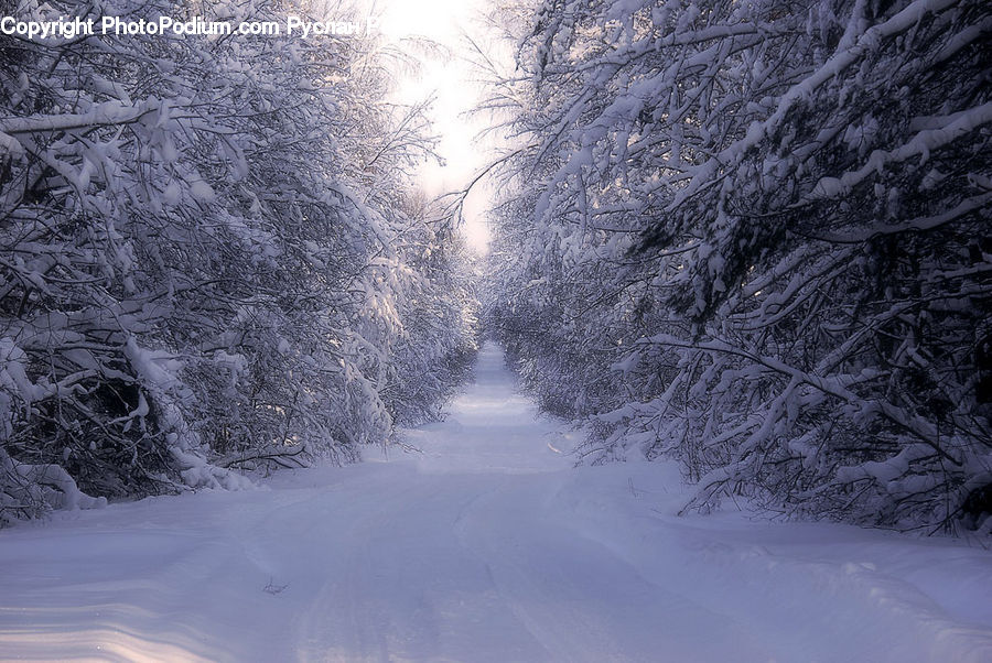 Ice, Outdoors, Snow, Landscape, Nature, Scenery, Road