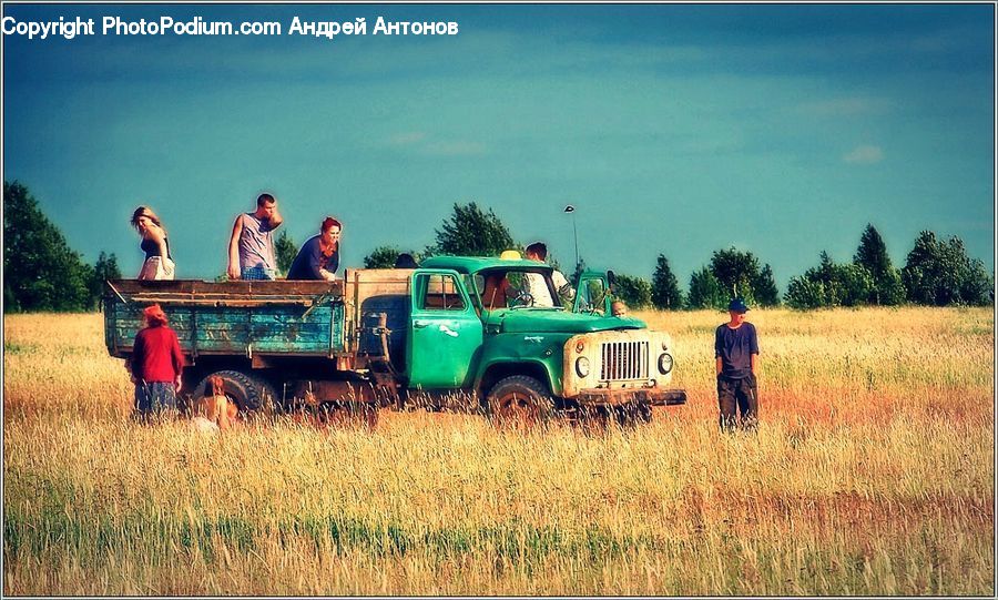 Human, People, Person, Field, Tractor, Vehicle, Grain