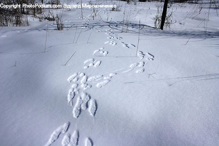 Ice, Outdoors, Snow, Sand, Soil