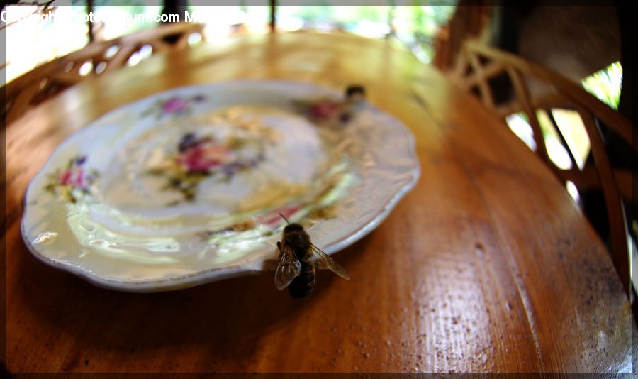 Bee, Insect, Invertebrate, Bumblebee, Honey Bee, Garlic, Plant