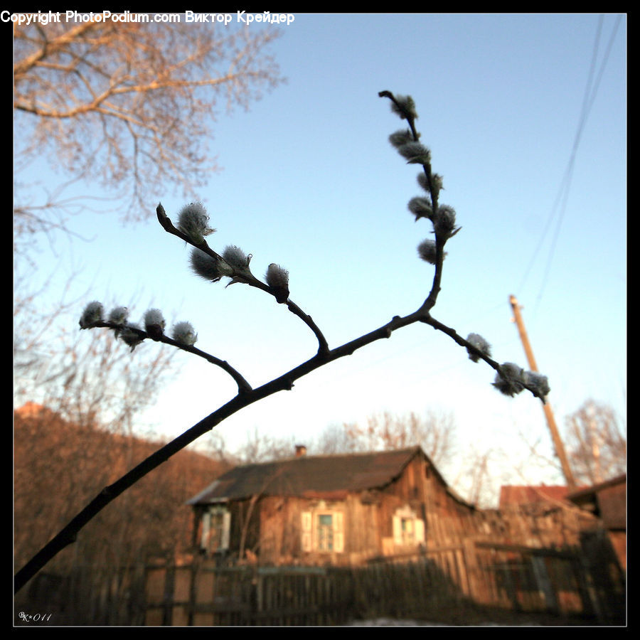 Building, Cottage, Housing, House, Lamp Post, Pole, Cabin