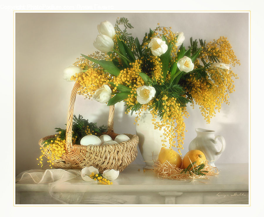 Floral Design, Flower, Flower Arrangement, Flower Bouquet, Ikebana, Indoors, Interior Design