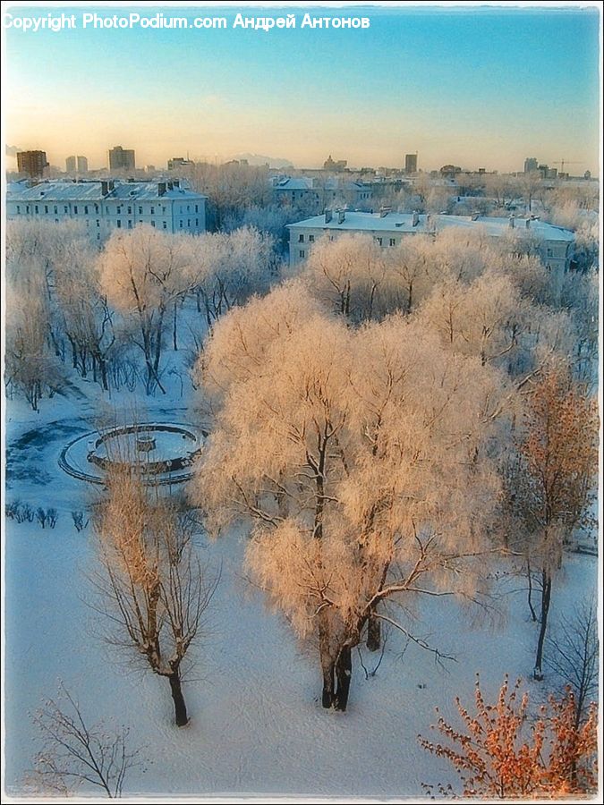 Frost, Ice, Outdoors, Snow, Land, Marsh, Swamp