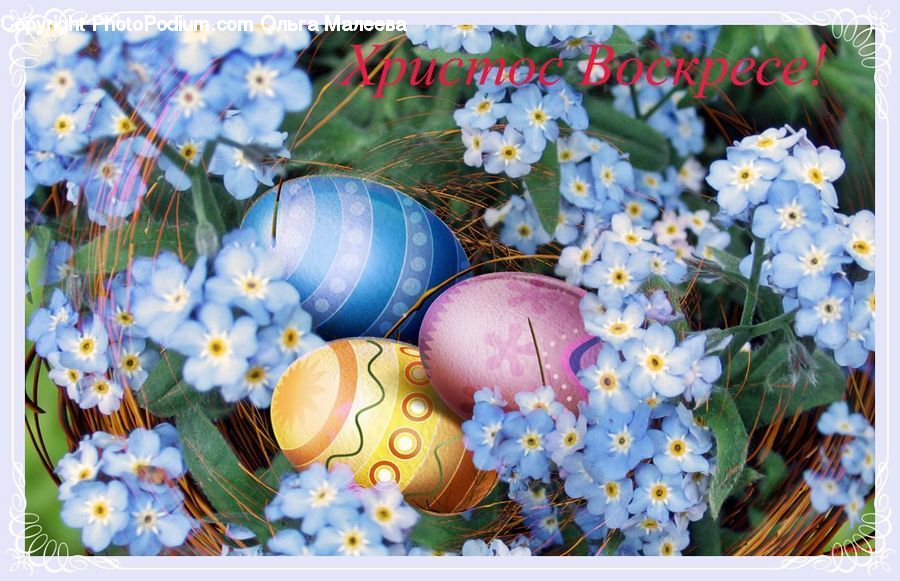 Easter Egg, Egg, Collage, Poster, Blossom, Flora, Flower