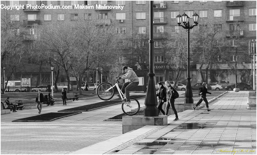 Bicycle, Bike, Vehicle, Cyclist, Boardwalk, Path, Pavement