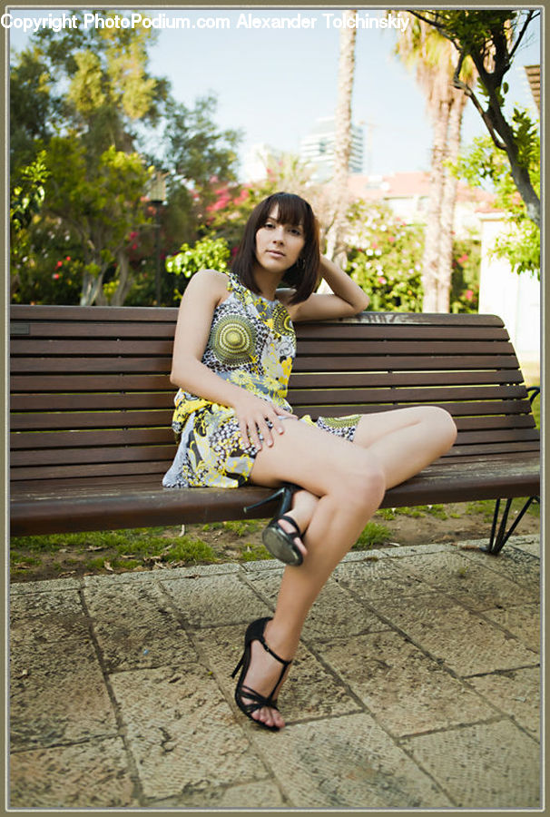 Plant, Potted Plant, People, Person, Human, Park Bench, Female