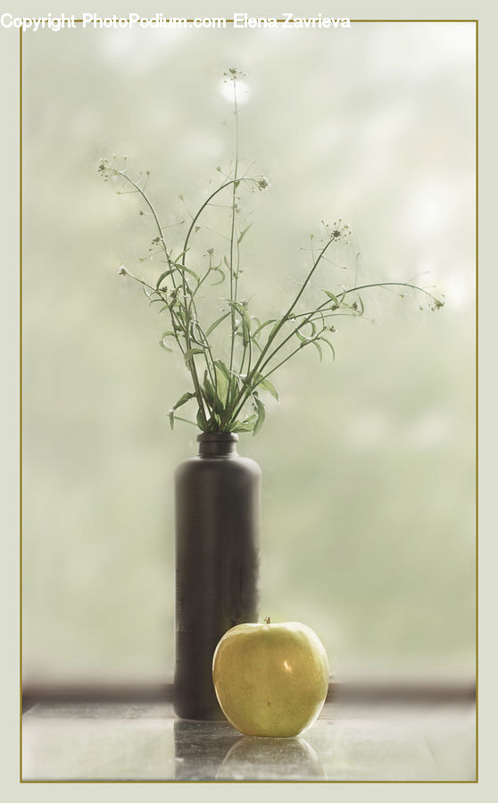 Apple, Fruit, Pot, Pottery, Flower Arrangement, Ikebana, Plant