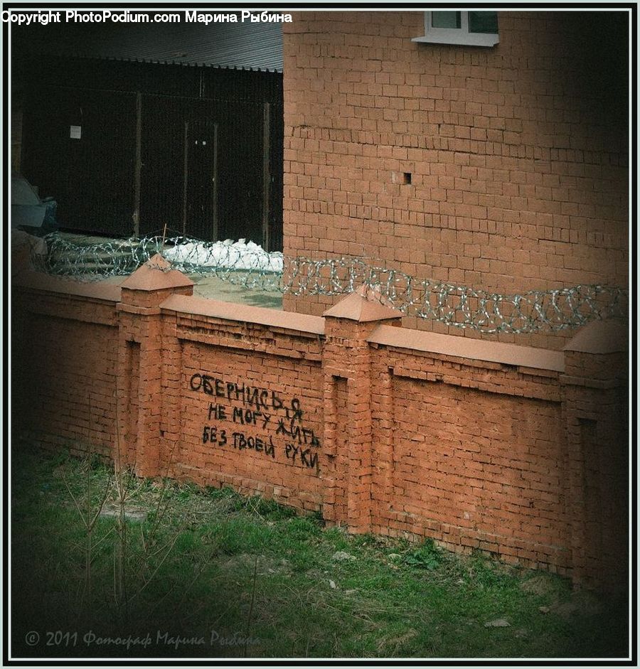 Brick, Box, Crate, Plant, Vegetation