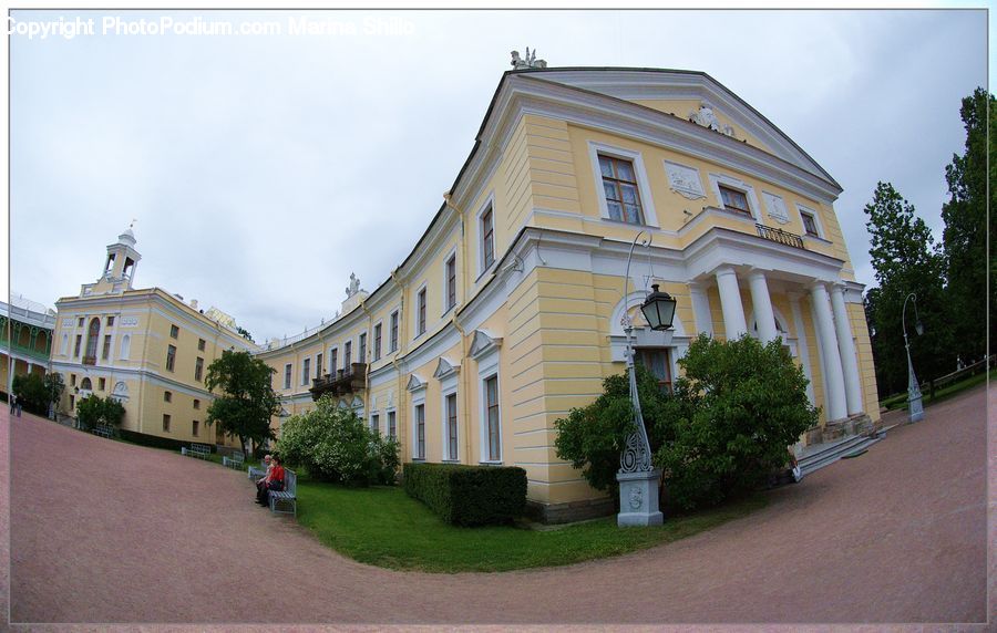 Plant, Potted Plant, Building, House, Housing, Villa, Apartment Building