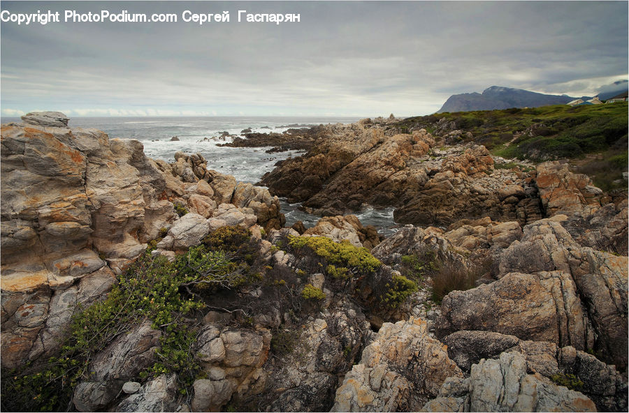 Cliff, Outdoors, Rock, Moss, Plant, Coast, Sea