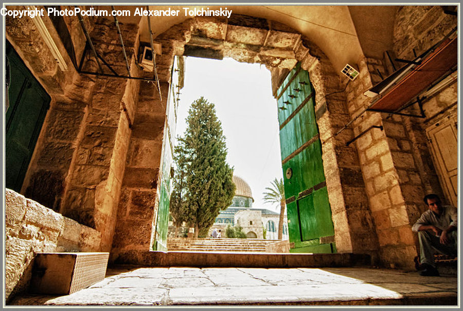 Patio, Ruins, Ancient Egypt, Construction, Wood, Plant, Tree