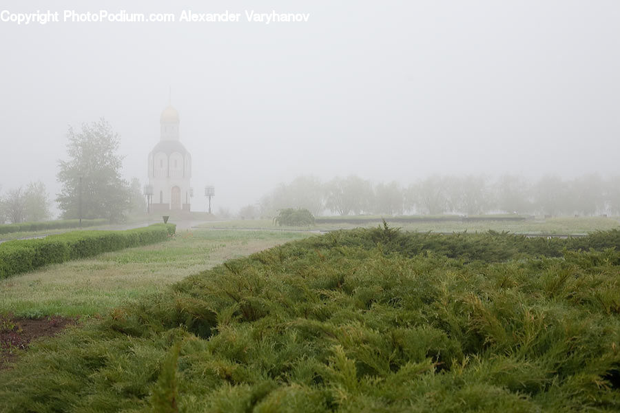 Fog, Mist, Outdoors, Grassland, Mound, Field, Grass