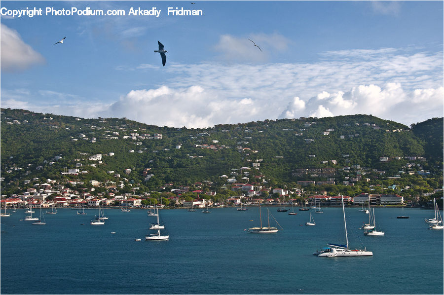 Aerial View, Coast, Outdoors, Sea, Water, Landscape, Nature
