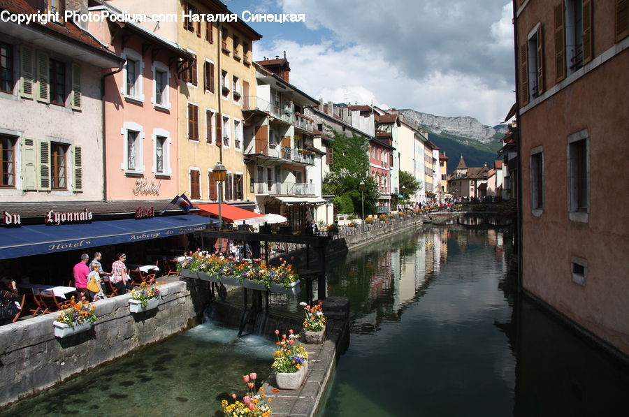 Plant, Potted Plant, Canal, Outdoors, River, Water, Boat