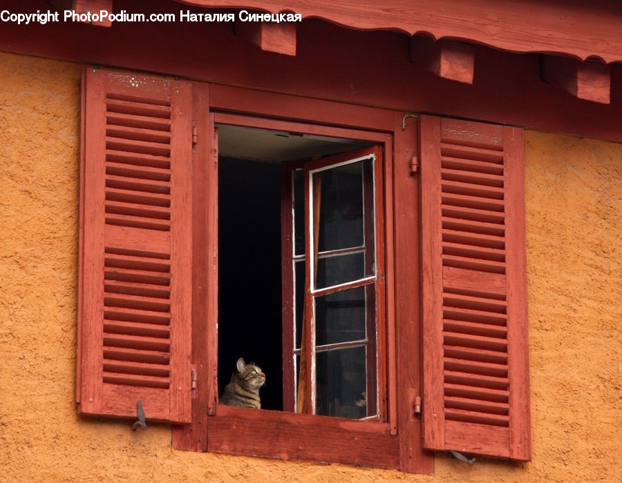 Window